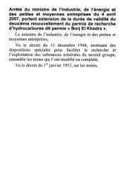 Arrêté du ministre de l'industrie, de l'énergie et des petites et moyennes entreprises du 4 avril 2007 | 