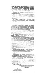Arrêté du ministre de l’industrie, de l’énergie et des petites et moyennes entreprises du 3 avril 2007 | 